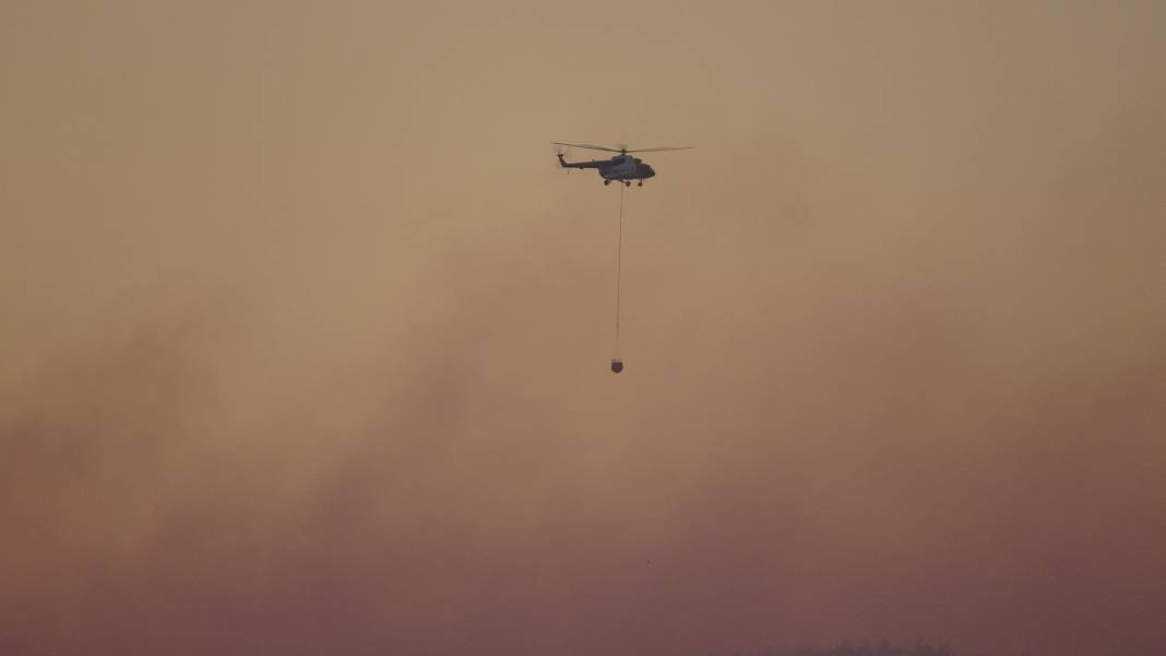 Çanakkale'deki Tarihi Alan'ın güney hattı ziyarete açıldı! Orman yangınında kapatılmıştı - Resim: 31